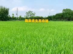 -迪茵湖田家舍生态农场