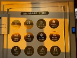 -艾薇朵朵全套房月子中心(江宁店)