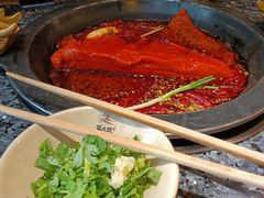 牛油红锅-蜀大侠火锅(春熙路店)