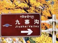 -九寨沟风景区