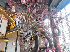-老李家土菜馆·安吉地标美食