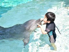 -新加坡水上探险乐园