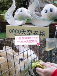 -可可天空农场(中大店)