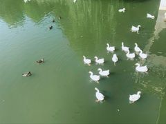 -北京张裕爱斐堡酒庄