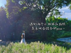 -深圳国际园林花卉博览园