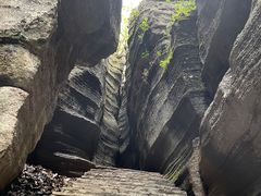 -梭布垭石林景区