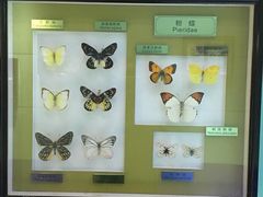 -上海昆虫博物馆