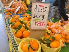 -黑潮市场