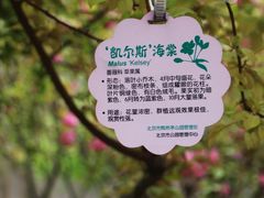 -陶然亭公园