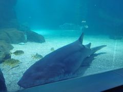 -常州海昌海洋探索馆