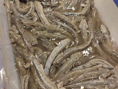 -健眺小海鲜(临海后山店)