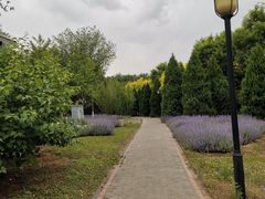 -永定河休闲森林公园