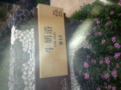 -颐和澜悦欢乐水世界(原颐和温泉城)