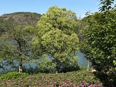 -白马涧龙池景区