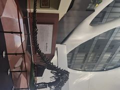 -鄂尔多斯博物馆