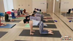 -酉嘉瑜伽YO+YOGA