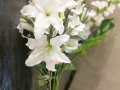 -SAH健身私教工作室(紫东店)