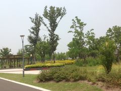 IMG_3909-江滩湿地公园