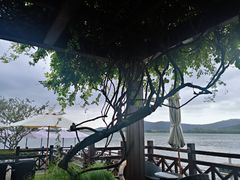 -望海·帆船主题咖啡厅•品茗下午茶(石湖景区店)