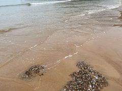 -大京沙滩
