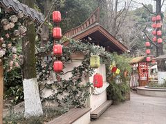 -成都市活水公园