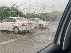 -安飞驰驾校·学车连锁(金高店)