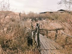 -黄沙古渡原生态旅游区