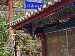 -云南古玩城(护国路店)