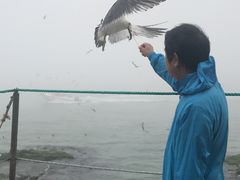 -海驴岛(荣成市)