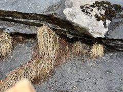 -朱雀国家森林公园