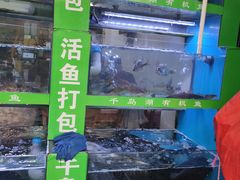 -全乐鱼馆·淳牌有机鱼直营店