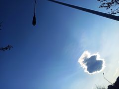 -北京稻香村(五道口店)