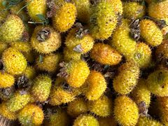 -南坛综合农贸市场