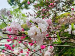 -无锡惠山寺