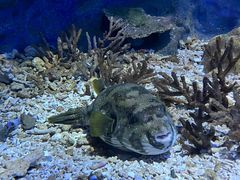 -海合安武汉极地海洋公园