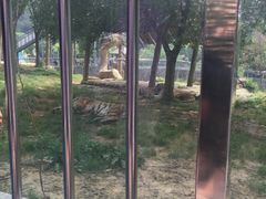 -无锡动物园·太湖欢乐园