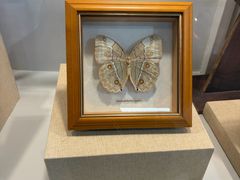 -上海昆虫博物馆