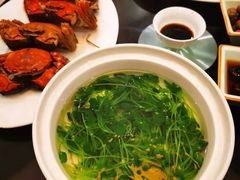 -十八棵（老龙井）御茶园(老龙井店)