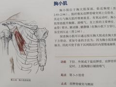 -美式FUN·健身馆