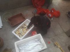 -青岛沙子口国家中心渔港