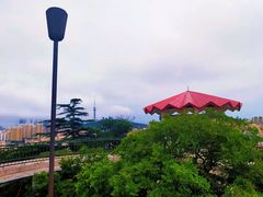 -贮水山儿童公园