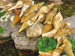 -宜兴隆家宴·私房菜(泰安华庭店)
