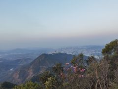 -梧桐山风景名胜区
