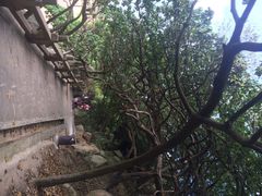 iphone_upload_pic-东澳岛