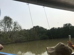 -大湾区中央湿地公园