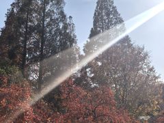 -白马涧龙池景区