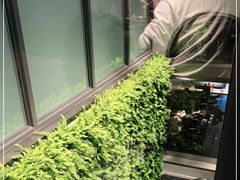 -巴厘龙虾·榜首油焖大虾(洞庭·艺术洋房店)