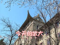-武汉大学-樱园