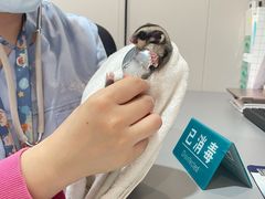-立德动物医院·24小时中心(番禺区院区)