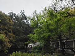 -杭州植物园